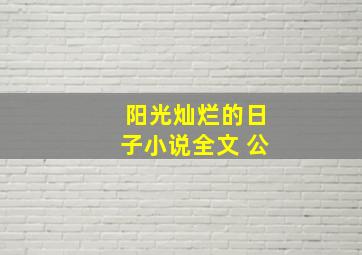 阳光灿烂的日子小说全文 公